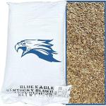 Blue Eagle Elite Kentucky Bluegrass Seed 1