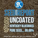 Blue Eagle Elite Kentucky Bluegrass Seed 9