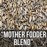 Mother Fodder 5