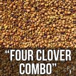 Four Clover Combo 6