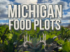 Michigan Food Plots