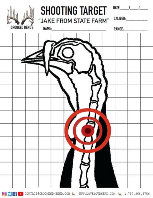 Jake From State Farm Free Printable Shooting Target