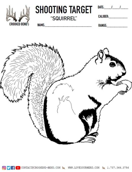 Squirrel Free Printable Shooting Target