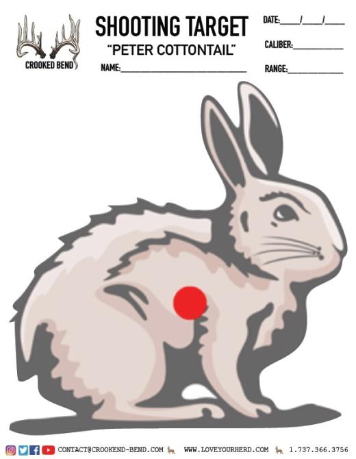 Peter Cottontail Printable Target