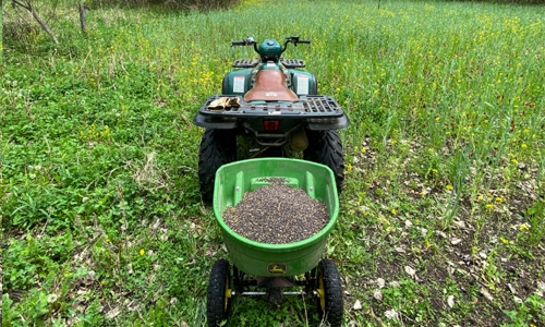 Broadcasting spring food plots in Michigan