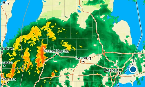 Rain is needed for high quality food plots in Michigan