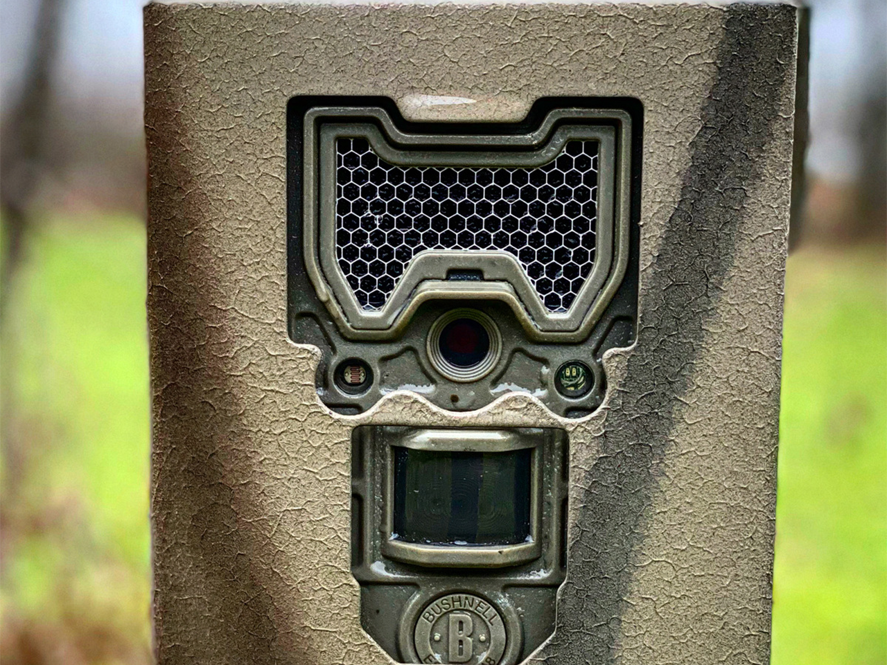 Trail Camera