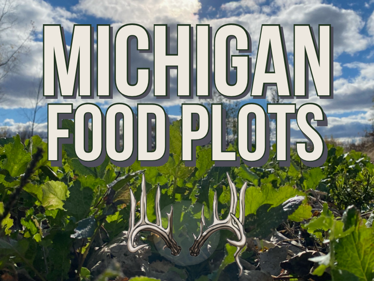 Michigan Food Plots