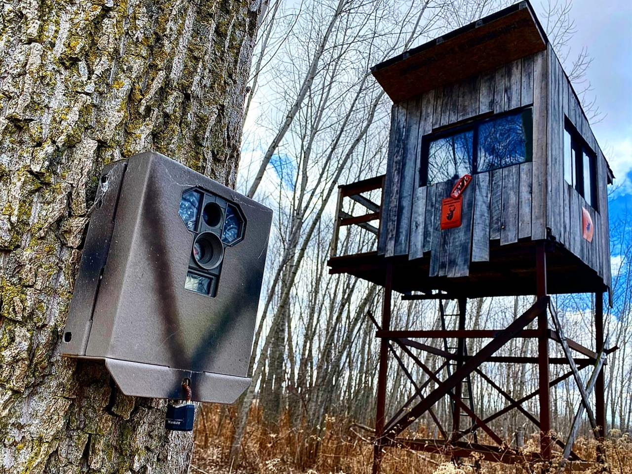 Placement of trail cams, hunting stands and food plots is critical for success